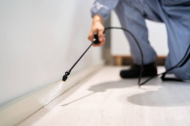 Licensed Pest Control service in Ortonville, MI - Show Me Pest Control