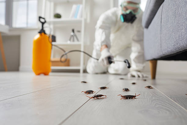 Commercial Kitchen Cockroach Control in Ortonville